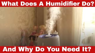 What Does a Humidifier Do Why Do You Need It [upl. by Ecirtaemed]