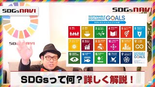 SDGsとは？17の目標って何？？詳しく解説しちゃいます。 [upl. by Lavena856]