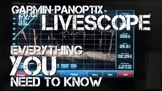 Panoptix LiveScope  Everything You Need to Know [upl. by Aneekas155]