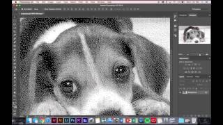 Photoshop Turning Image into a Bitmap [upl. by Neenaej]