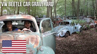 URBEX  Volkswagen Beetle T1 amp T2 graveyard  2017 [upl. by Yaakov]