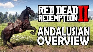 Andalusian Overview  Red Dead Redemption 2 Horses [upl. by Linnie]