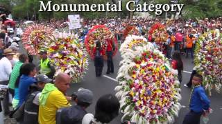 Medellin Colombia Flower Parade Desfile de Silleteros at the Feria de las Flores Flower Festival [upl. by Ardnuaek943]