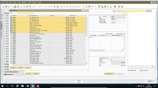 SAP Business One Tips and Tricks [upl. by Ijnek]