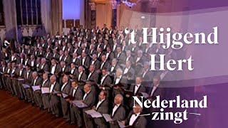 Nederland Zingt Psalm 42  t Hijgend Hert [upl. by Gable31]