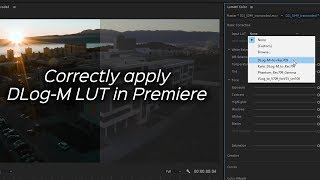 Properly Apply Mavic 2 DLogM to Rec709 LUT in Adobe Premiere [upl. by Isbel]