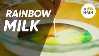 Milk Soap Rainbow Experiment  90Second Science [upl. by Inek]