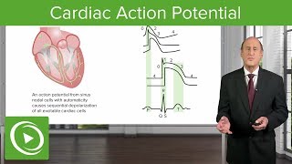 Pacemakers and quotslowquot AF patients [upl. by Dosia]