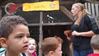 Visite de la ferme pédagogique du Luppachhof [upl. by Clerk]