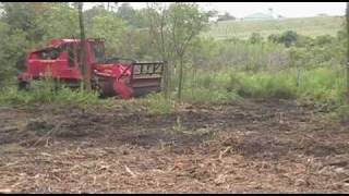 Forestry Mulchers  FTX250  Bull Hog Brush Cutter  Fecon [upl. by Trixy]