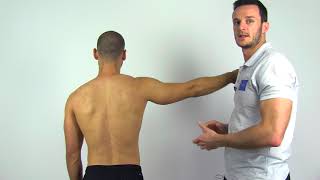 Drop Arm Test  Sign  Supraspinatus Tear [upl. by Hillman]