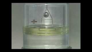 Interfacial Tension Test using a Du Nouy Ring [upl. by Roydd]