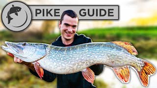 A Beginners Guide To Pike Fishing  Tactics Bait Lures Rigs and Unhooking [upl. by Tergram]