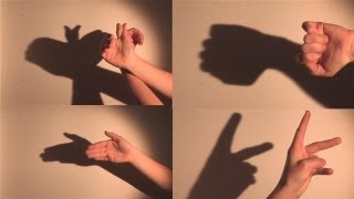 How To Make Shadow Puppets With Your Hand [upl. by Drofliw]