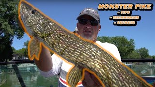 Summer Pike Fishing Tips [upl. by Redleh]