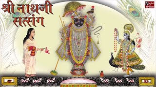 Shrinathji Satsang  Top 20 Songs  Beautiful Collection of Most Popular Shrinathji Songs [upl. by Naerb657]