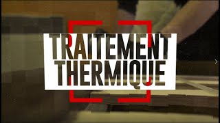 Traitement thermique de la punaise de lit  Solution Cimex [upl. by Hapte620]