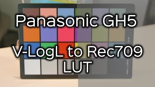 GH5 VLogL to Rec709 LUT  How To Apply in Premiere [upl. by Attehcram]