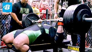 Bench Press Basics  Elite Powerlifter Rob Hall [upl. by Bodnar]