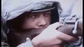 THE GERMAN INVASION OF RUSSIA Military History World War II Documentary [upl. by Fleisher]