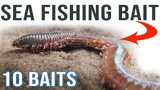 Sea Fishing Bait for Beginners [upl. by Guria798]