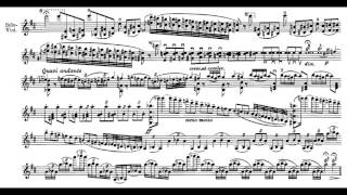 Tchaikovsky Violin Concerto in D major op 35 [upl. by Nahej]