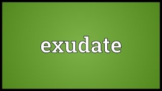 Exudate Meaning [upl. by Ynaffital]