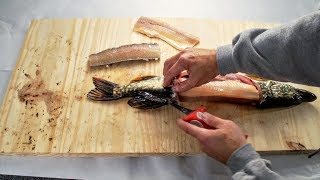 The BEST Way to Fillet a Pike [upl. by Plath]