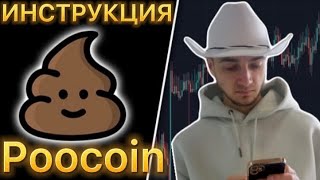 Poocoin краткая инструкция [upl. by Aara]