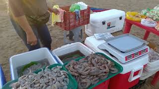 Guayabitos Nayarit un dia de compras de mariscos [upl. by Stimson]