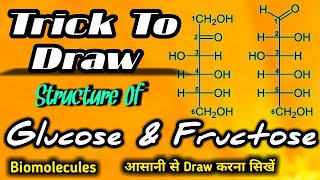 Trick To Draw Structure Of Glucose And Fructose [upl. by Eckel383]