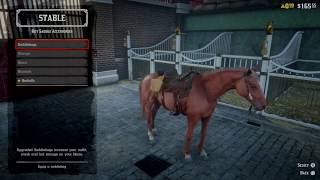 Red Dead Online Howto Get Free Saddle RDR2 [upl. by Gustie787]