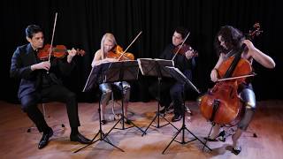 Hava Nagila  Jewish Traditional  GIARDINO STRINGS QUARTET [upl. by Arotal]