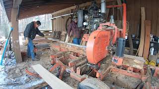 Cutting Ash Logs Using a Sawmill [upl. by Nedmac473]