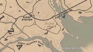 Red Dead Redemption 2  BEST location to find the Opossum  Possum [upl. by Yentrok]