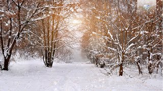 Winter Classical Music Tchaikovsky Vivaldi Mussorgsky Smetana [upl. by Aonian]