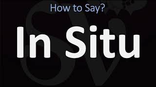 How to Pronounce In Situ CORRECTLY [upl. by Novyat256]