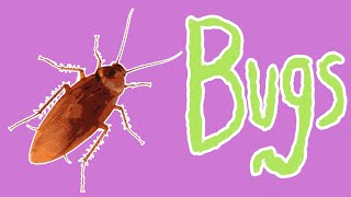 Bad Bugs  Insect Pests for Kids [upl. by Maxa]