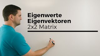 Eigenwerte Eigenvektoren 2x2 Matrix mit Geometriezusammenhang  Mathe by Daniel Jung [upl. by Elliven926]