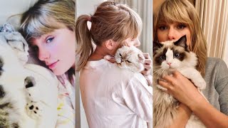 The Best of Taylor Swift and Her Cats [upl. by Dreda]