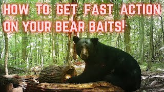 How to get FAST ACTION on your bear bait [upl. by Geanine]