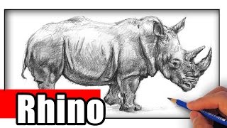 How to Draw a Rhino [upl. by Akimaj]