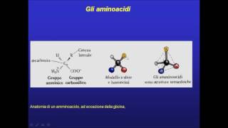 Amminoacidi struttura generale [upl. by Adnylem]