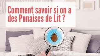 Comment Savoir si on a des Punaises de Lit  Comment Détecter les Punaises de Lit [upl. by Nike]