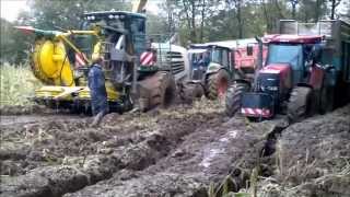 ensilage maïs 2012 manche [upl. by Anitsuj]