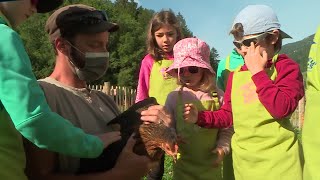 HauteSavoie  La Source une ferme pédagogique pour découvrir les animaux [upl. by Ennaylime]