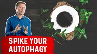 Enhance Autophagy with Coffee and Herbs [upl. by Enilasor243]