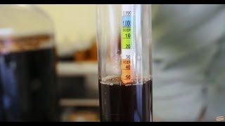 Using a Hydrometer [upl. by Helman]