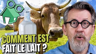 🐮Comment la vache faitelle du lait  🥛 [upl. by Newfeld]