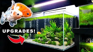 💚 GOLDFISH AQUARIUM UPGRADE 🅑🅤🅑🅑🅛🅔🅢 amp 🅖🅡🅐🅥🅔🅛 [upl. by Oirramed604]